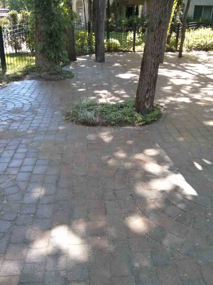 Photo Terrassement 11